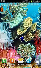 coral reef live wallpaper free