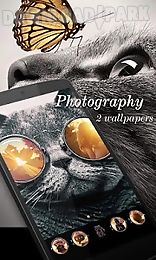 photography go launcher theme