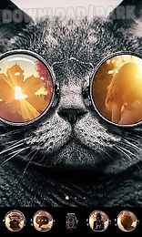 photography go launcher theme