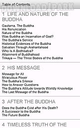 what buddhists believe