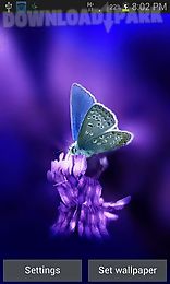 cute butterfly by daksh apps