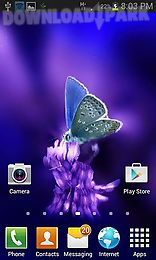 cute butterfly by daksh apps