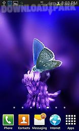 cute butterfly by daksh apps