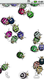 ladybugs