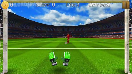 super goalkeeper: world cup