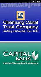 chemung canal trust company