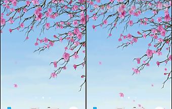 Sakura video wallpaper 3d