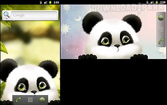 Panda chub live wallpaper free