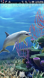 dolphin coralreef trial