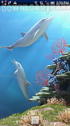 dolphin coralreef trial