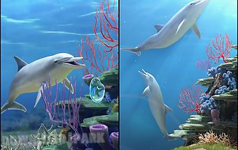 Dolphin coralreef trial