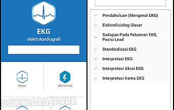 Ekg