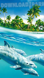 tropical live wallpaper