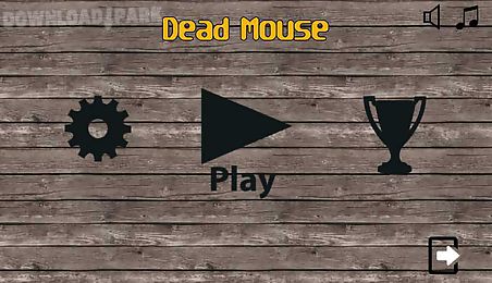 dead mouse