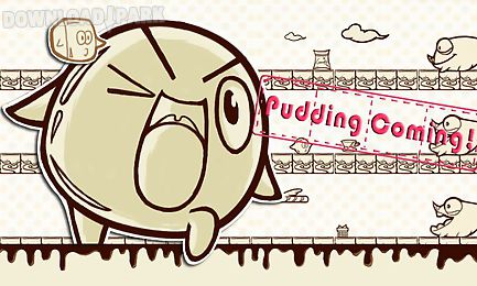 pudding dash