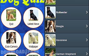 Dog breed quiz - dogs guide trai..