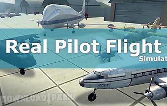 Real pilot flight simulator 3d