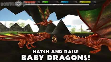 world of dragons simulator rare