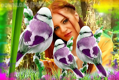 3d birds live wallpaper