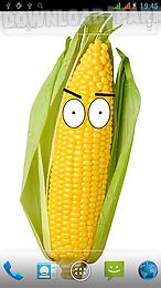 watching corn