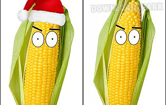 Watching corn