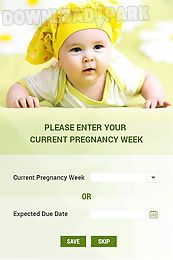 pregnancy week by week