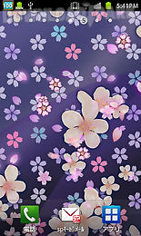 cherry blossomwallpaper　free