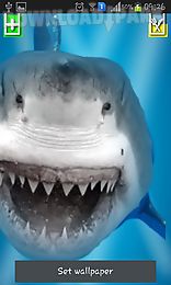 angry shark: cracked screen