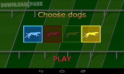 dog race game