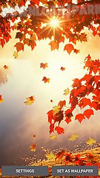 falling leaves