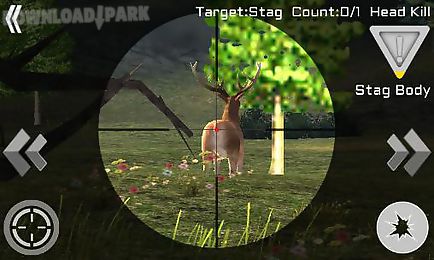 deer challenge hunting: safari