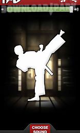 ifu - virtual kung fu game