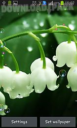 lily of valley forest