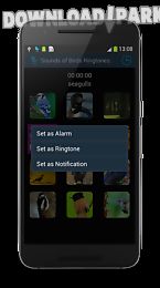 sounds of birds ringtones