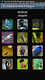 sounds of birds ringtones