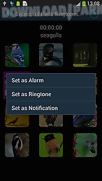 sounds of birds ringtones