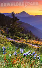 mountain flower live wallpaper