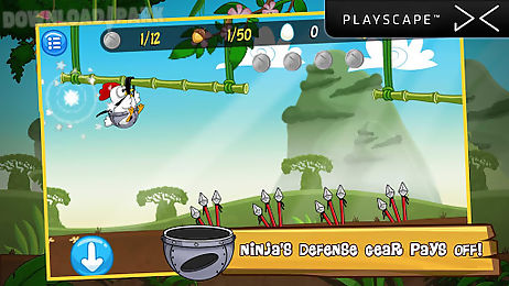 ninja chicken adventure island