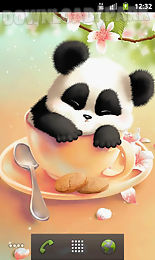 sleepy panda wallpaper