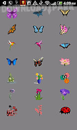 flowers butterfly doodle text!
