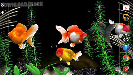 gold fish 3d free lwp