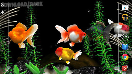 Gold Fish 3d Free Lwp Android Papel De Parede Animado Baixar Grátis