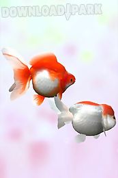 gold fish 3d free lwp