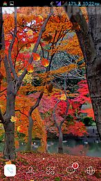 autumn leaves hd livewallpaper