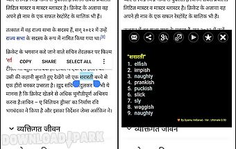 Hindi dictionary pro