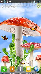 mushroom hd live wallpaper