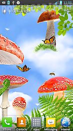 mushroom hd live wallpaper