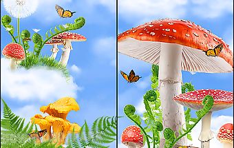 Mushroom hd live wallpaper