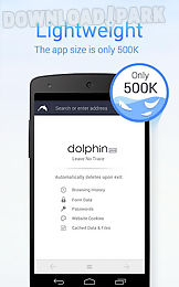 dolphin zero incognito browser