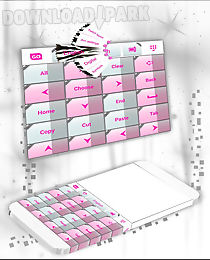 girly zebra keyboard